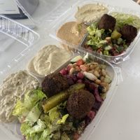   at The Mediterranean Chickpea in Tampa