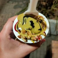 Vegan yogurt ice cream at Puro & Bio in Santarcangelo Di Romagna