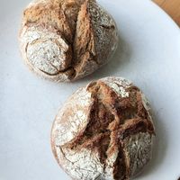 potato buns (with cocoa) #Veganuary at Nah am Wasser - Neukölln in Berlin