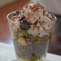 Chiapudding with fruits/berries and cream  at Giusto Restaurante Vegano in Torrevieja