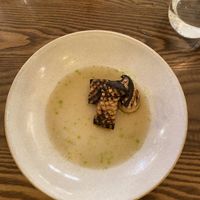 Mushroom   at Wedgwood in Edinburgh