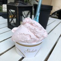 Raspberry Sorbet 🍧 at Hoorays Gelato Kitchen in Stratford-upon-avon