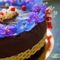 Vegan no gluten cake at Rawissima in Sibiu