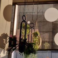 Grüne Atmosphäre at Flayva Coffee & Tea Lounge in Dortmund