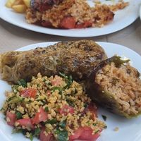  at Noah's Ark in Kos