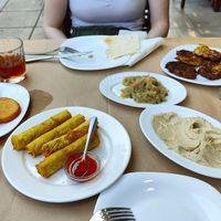 From left to right
The potato pies, springrolls, zucchini salad, hummus, zucchini pies and the flatbread at Noah's Ark in Kos