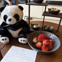 Complementary vegan sweets sent from the tea house to our room  at Mi Xun TeaHouse 谧寻茶室 in Chengdu