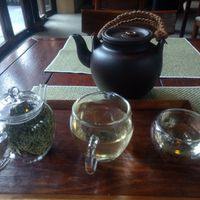 Yellow tea at Mi Xun TeaHouse 谧寻茶室 in Chengdu
