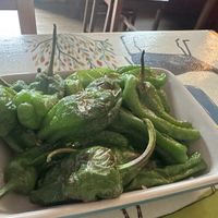   at Red Squirrel Tapas Bar in Anglesey