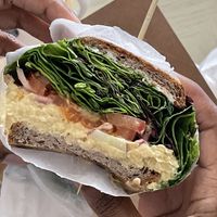 Tuna sandwich $16.50  at Linden Organic in Gilbert