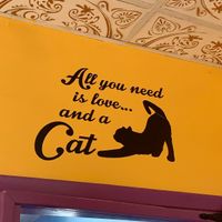 entrance to the cat play area at Alley Cat Cafe in Ithaca