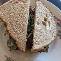 The Jaguar at Alley Cat Cafe in Ithaca