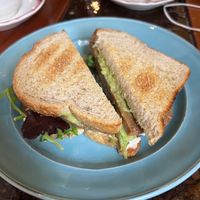 Jaguar sandwich   at Alley Cat Cafe in Ithaca