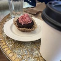   at Alley Cat Cafe in Ithaca