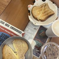   at Alley Cat Cafe in Ithaca