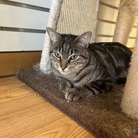   at Alley Cat Cafe in Ithaca