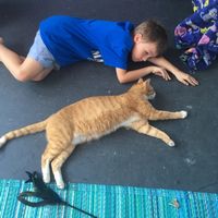 Benji wants this ‘Weasley’ cat at Alley Cat Cafe in Ithaca