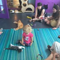 Enjoyment all around! at Alley Cat Cafe in Ithaca