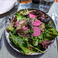 Warm grain salad at Catch in New York City