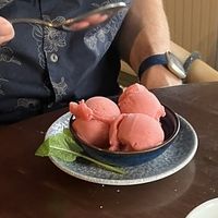 Sorbet  at The Old Farmhouse in Darlington