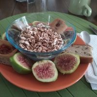 vegan breakkie at Agriturismo La Lenticchia in Forli