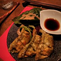 Vegan raviolis at Ryukishin - Richelieu in Paris