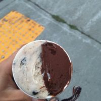 dark chocolate & almond milk peanut butter oreo at Shy Guy Gelato in Burlington