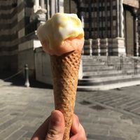 Lemon and melon at Fruit & Ice Cream Factory in Genoa
