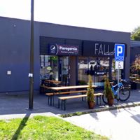 FALLA, Gdańsk Zaspa at Falla in Gdansk