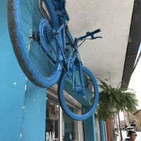 Look for the blue bike at Allullas Vegetariano - La Aurora in Pasto