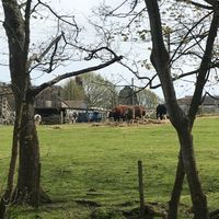 View from the cafe at Brockhill Cafe Restaurant in Hythe