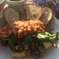VEGAN UP Scrambled tofu, roasted tomato and mushroom, wilted spinach. Toasted sourdough at Urban Reef in Bournemouth