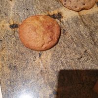 Pumpkin cookie at Ethos Vegan Kitchen in Winter Park