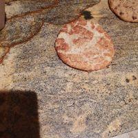 Snickerdoodle Cookie at Ethos Vegan Kitchen in Winter Park