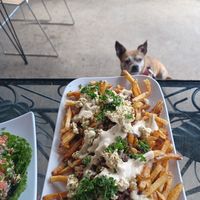  at Gypsy Queen in Asheville