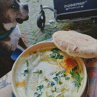 Leckerste Falafel die wir je gegessen haben. Auch alles zum Mitnehmen bekommen und alles ohne Plastik Verpackung.💚 Super freundlicher Service! at FLFL in Groningen