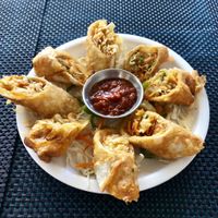 Spring rolls at Chinese Bowl in Leh
