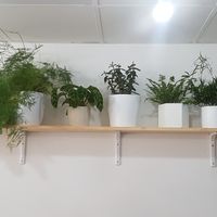  at 269 Vegan in Perth