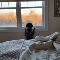 Fozzie Bear was excited to explore the property each morning. at Sundogs Bed and Breakfast in Shepherdstown
