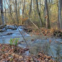 Hidden stream on the property at Sundogs Bed and Breakfast in Shepherdstown