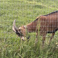   at Sundogs Bed and Breakfast in Shepherdstown