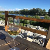 Sampling the Cuvée Blanche - Apple wine  at Northern Lights Winery in Prince George