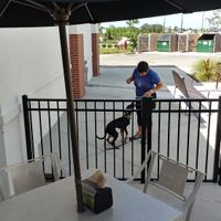 dog friendly outdoor patio, which is shaded in the afternoon at Tijuana Flats in West Melbourne