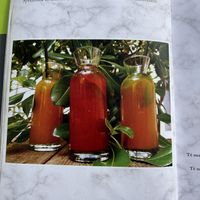 Menu  at Mestna Kavarna in Piran