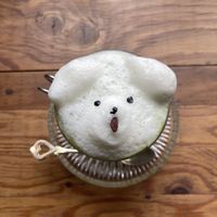 Cutie foam for 200 yen - some people asked me if is dog or bear? Haha supposed to be doggo  at Vegan Cafe PQ's in Tokyo