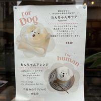 Treats for pups & people  at Vegan Cafe PQ's in Tokyo