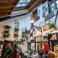  at Cafe Kunst Haus in Vienna