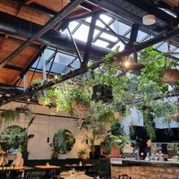 Inside (there's an outside patio as well) at Cafe Kunst Haus in Vienna