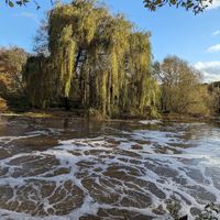  at Saxon Mill in Warwick