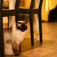   at KITTCHEN in Hawkshead